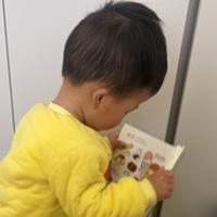 朔宝爱读书