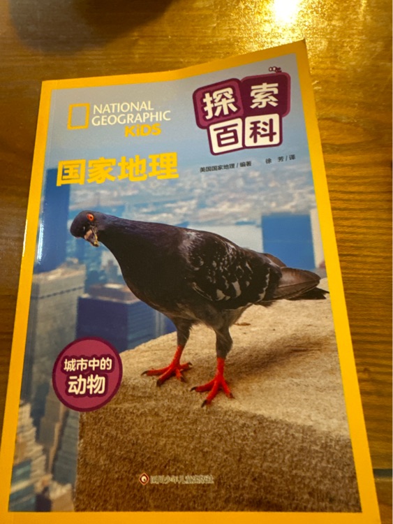 國家地理城市中的動物