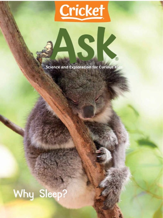 Ask Magazine January 2021