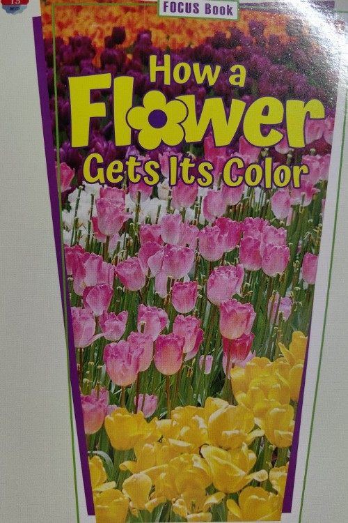 How a flower gets its color