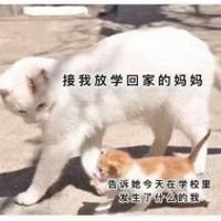 雪餅旺旺