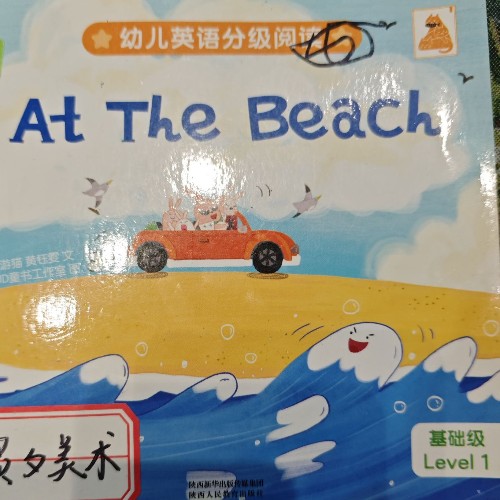 遨游猫 At the beach