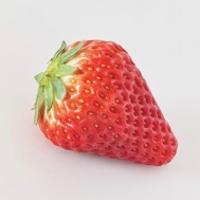 毛尤里