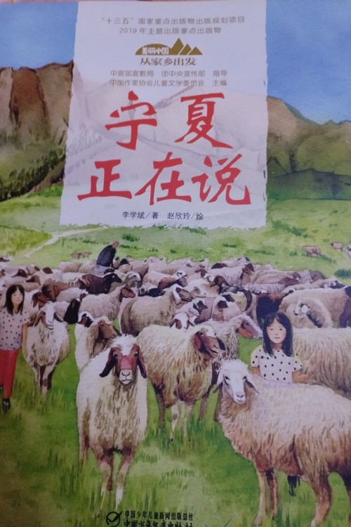 宁夏正在说