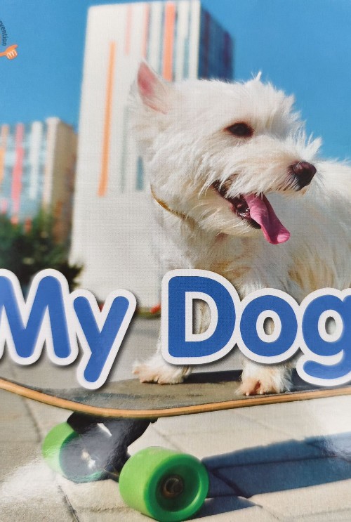 my dog