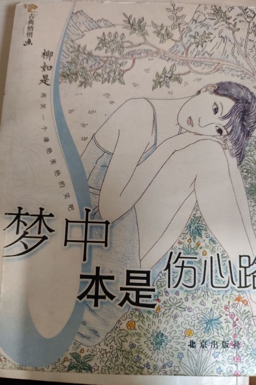 夢(mèng)中本是傷心路