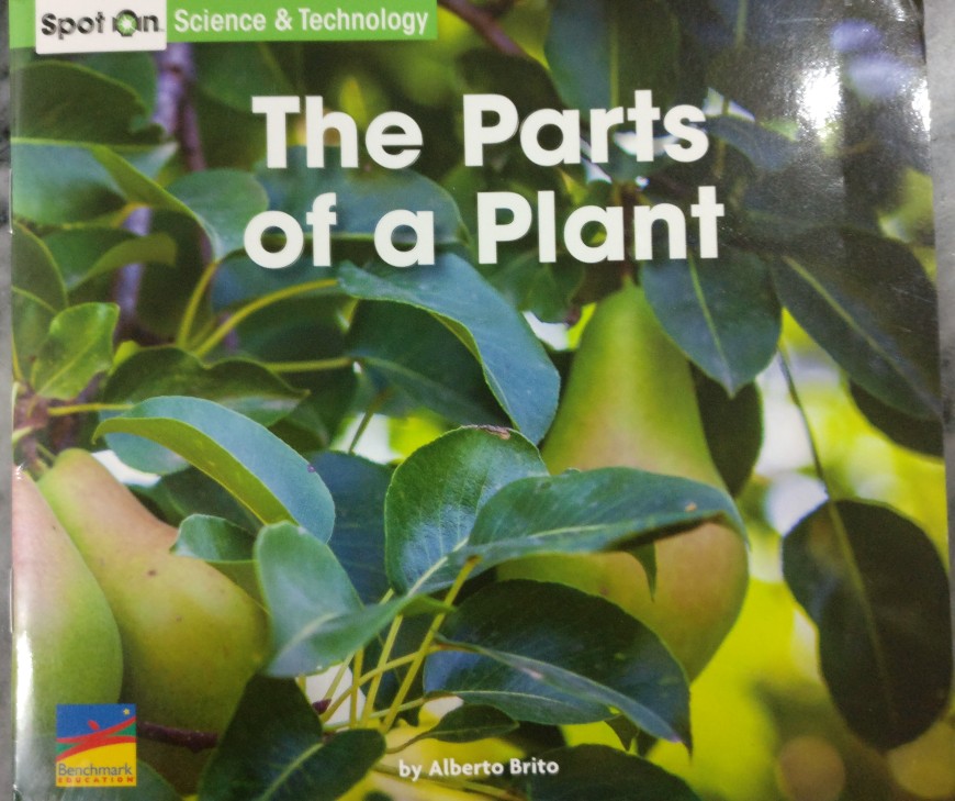 The parts of a plant