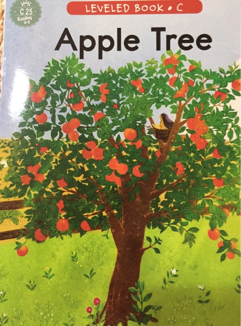 apple tree