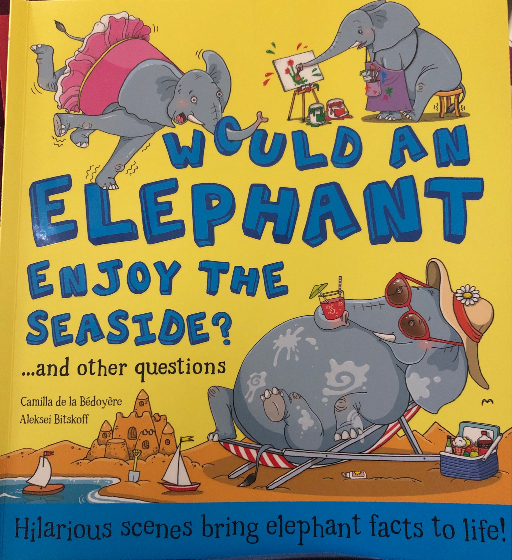 Would an elephant enjoy the seaside?