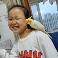 飛翔的可樂