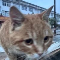 十九歲
