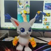那風(fēng)小奇