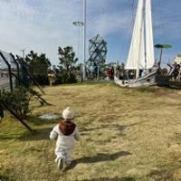 L小飛俠