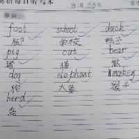 哦呀呀