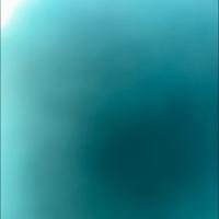 202504