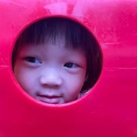 Yu chia