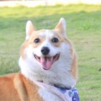 窗外的斷章