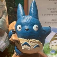 某小you