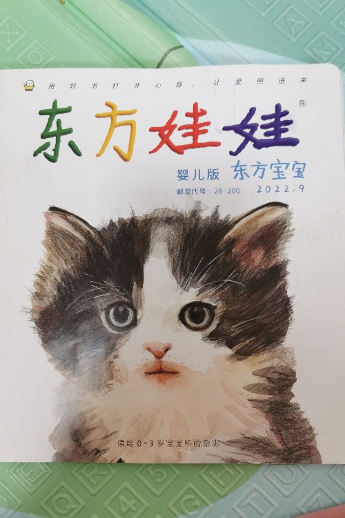 東方娃娃