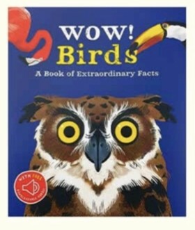 Wow! Birds
