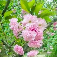 小小小小秀秀