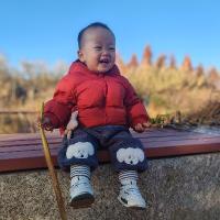 琻苔