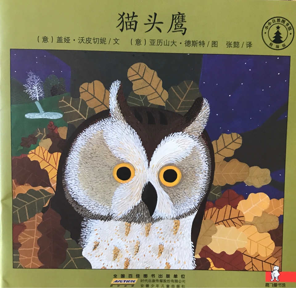 貓頭鷹