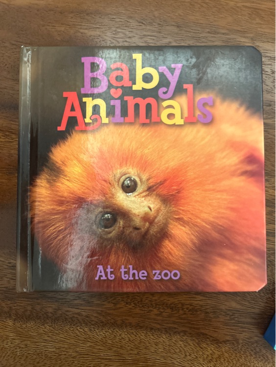 Baby Animals