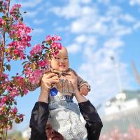抓住一只小蘋果