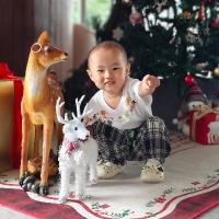 抓住一只小苹果