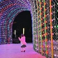 yao小花兒
