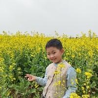 登登登登李2018