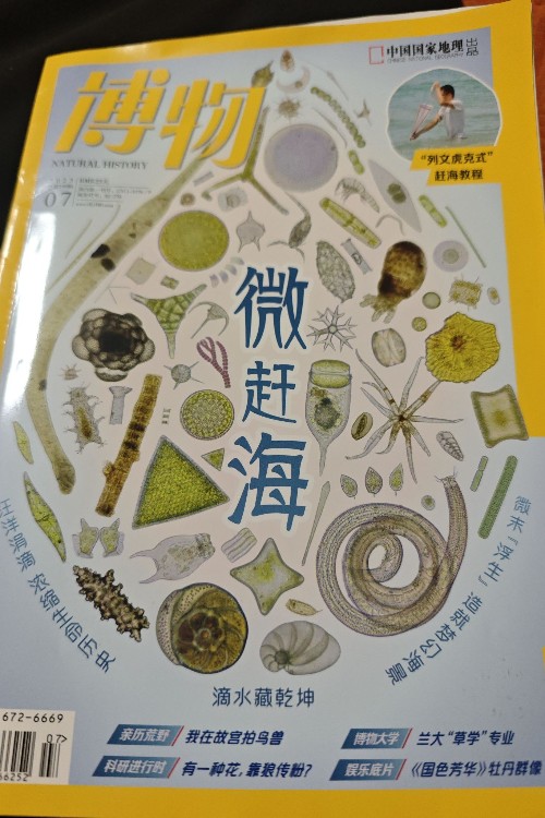 博物2025年7月