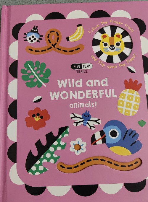 Wild and Wonderful Animals