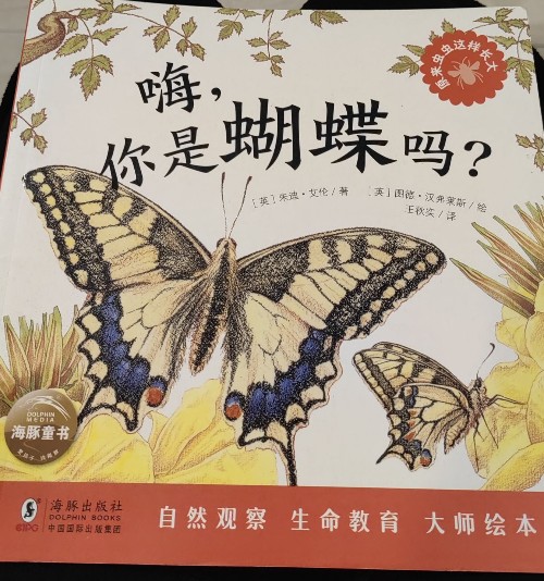 嗨, 你是蝴蝶嗎?