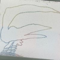 湯圓X