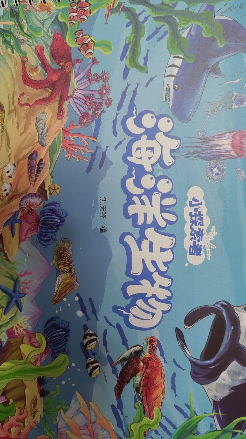 小探索者海洋生物