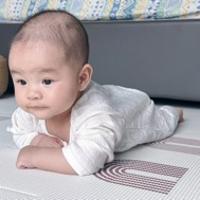 洪皓陽