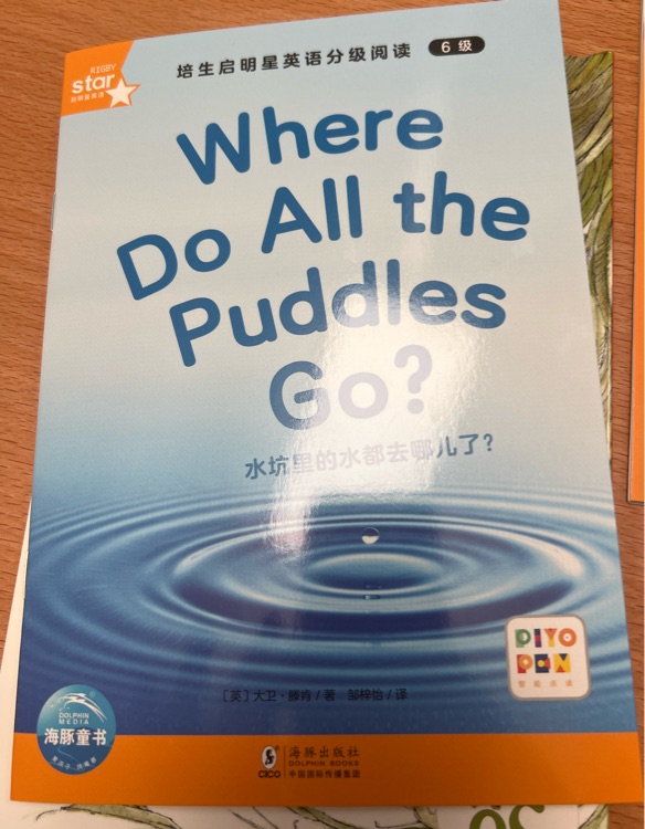 Where do all the puddles go