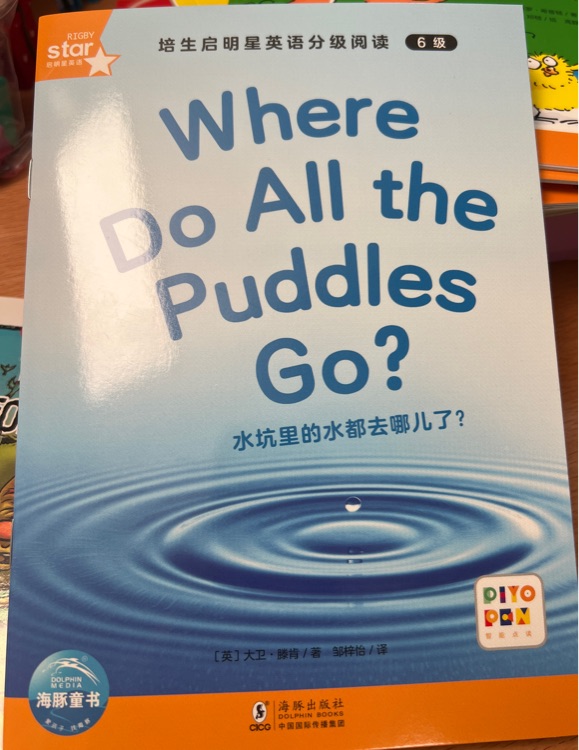 Where do all the puddles go