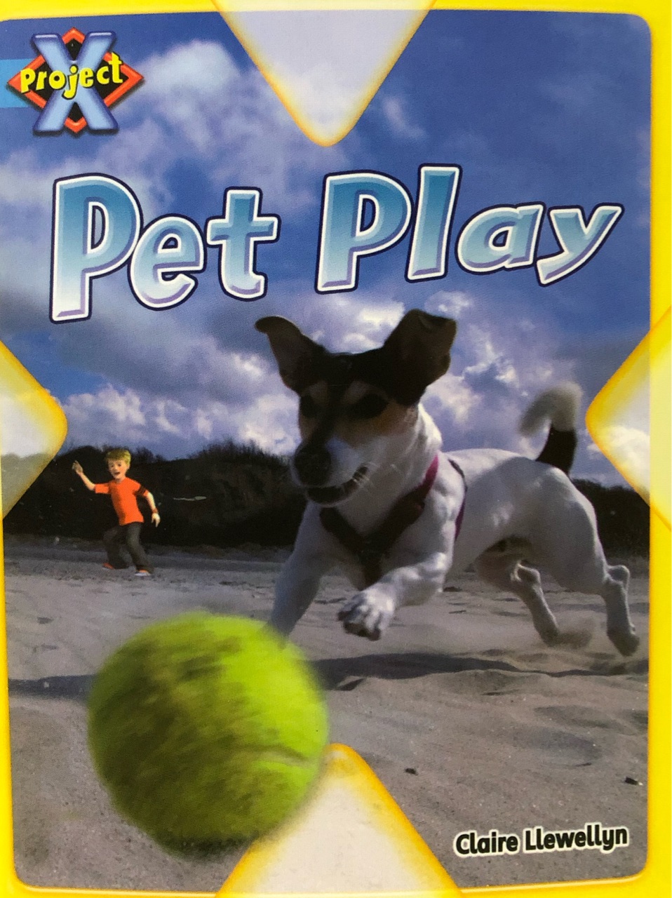 Project X 4-9 Pet Play