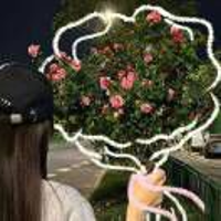 祖國老花朵??