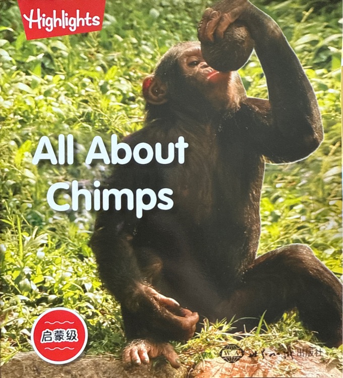 All About Chimps