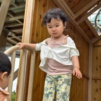 夏知暖