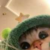 林深時(shí)見鹿763981
