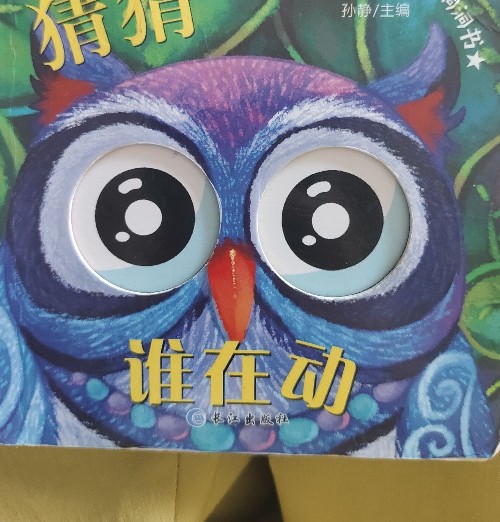 寶貝的奇妙洞洞書