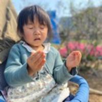 茵茵美黛子