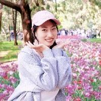 威武的豬豬俠