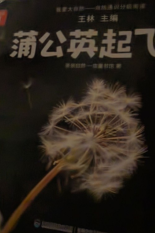 蒲公英起飛了