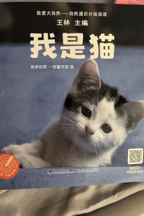 我是貓